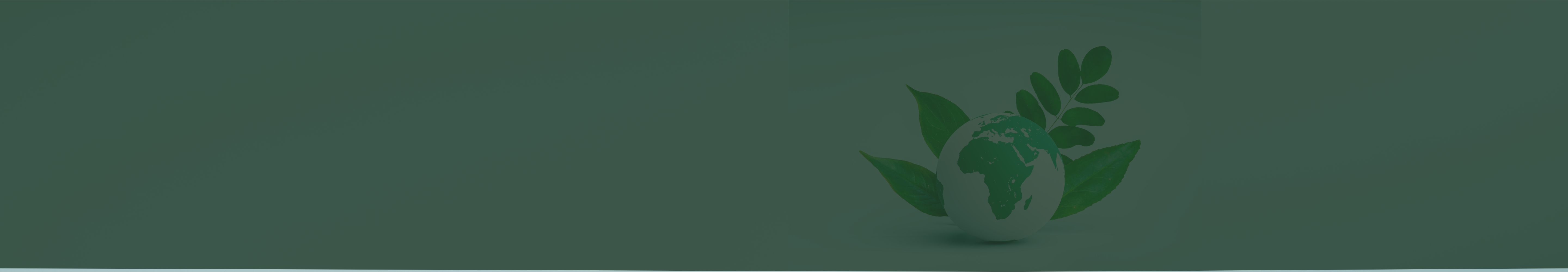 bt_bg